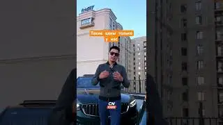 Li li 9 Changan UNI-K Geely Preface