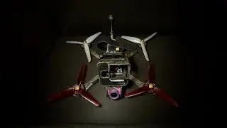 Can I Kiss the Trees? FPV Style