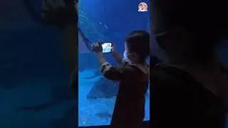 육아 가오리 사진 찍었다고 자랑하는 딸