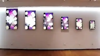 Indoor Wall Mounted Digital Signage Displays Solutions