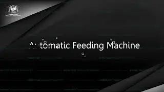 HIGHTOP Automaic Layer Equipment for 20,000-30,000 layer chickens