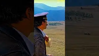 Валико 8 был , один баран куда делся ?