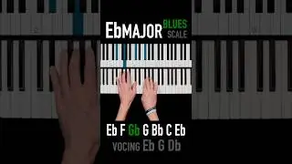 ✨Blues Eb major scale☕️ Easy🧉