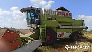 Claas mega 208. 22.08.2020.А ми молотим.