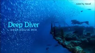 Deep Diver -Deep House Mix 2019-