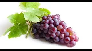 Eat Raisins or Kishmish to get rid of constipation | How many grapes you should eat every day