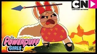 Die Powerpuff Girls | Mojo Jojo gegen die Alten | Cartoon Network