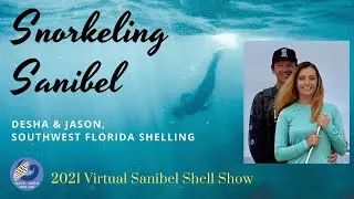 Snorkeling Sanibel