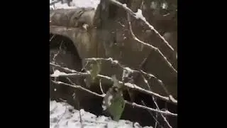 УАЗик прёт... это сила 💪