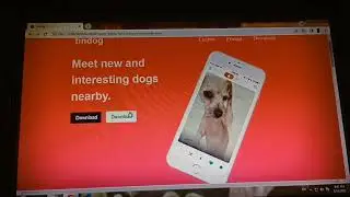 My New website | Tindog Clone Website |Fronted Developer Projects