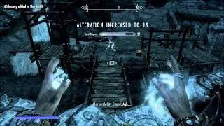 Skyrim: Slow Time Spell