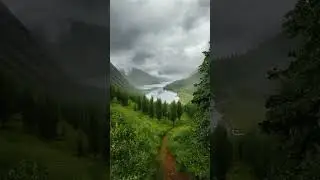 #naturevideo   #shorts #shortsvideo  #statusvideo #statusvideo #trending #naturevideo #relaxingmusic