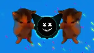 DJ KICAU KICAU KICAU MANIA SLOW VIRAL TIKTOK FULL SONG MAMAN FVNDY 2026
