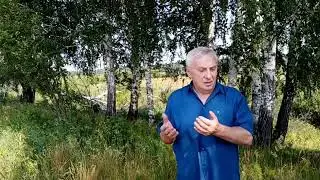 И. Бродский «Бессмертия у смерти не прошу…»