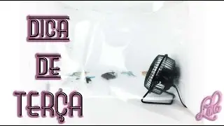LOLA - ESTUFA DA NASA