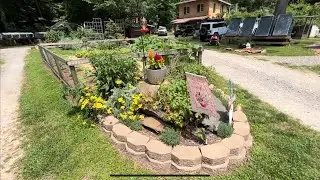 Fixing dead beat laying flock and garden update.