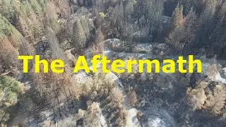 Santa Cruz Fire