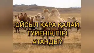 ТҮЙЕНІҢ ПІРІ - ОЙСЫЛ ҚАРА | ПАЙҒАМБАР ЖАЛҒЫЗ ШАПАНЫН ОЙСЫЛ ҚАРАҒА ҚАЛДЫРҒАН