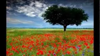 Beautiful Day - Canción del anuncio de Supermercados DIA
