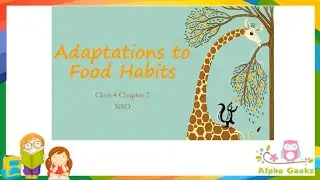 Adaptations of Animals Based on Food Habits  - Module 2.3 (Chapter 2 - Olympiad Class 4 Science)