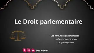 Tout savoir sur le droit parlementaire en 3 minutes
