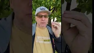Самое важное: итоги жизни 