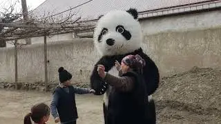 Конибодом 2023