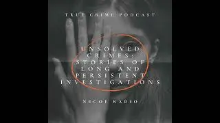 Unsolved Crimes: Stories of Long and Persistent Investigations