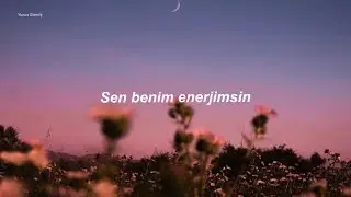 Alan Walker - Unity (Türkçe Çeviri)