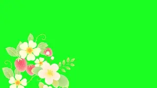 flower green screen video effects |