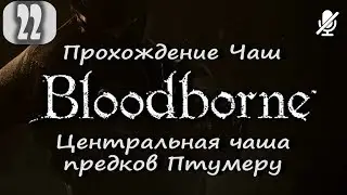 #22 Bloodborne / Центральная чаша предков Птумеру