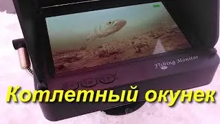 Котлетный окунек