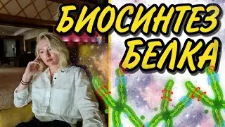 БИОСИНТЕЗ БЕЛКА:ТРАНСКРИПЦИЯ/ТРАНСЛЯЦИЯ/ИНИЦИАЦИЯ, ЭЛОНГАЦИЯ,ТЕРМИНАЦИЯ. ГЕНЕТИЧЕСКИЙ КОД