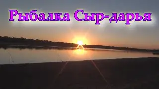 Река Сыр-Дарья. Рыбалка Сырдарья 2020. Отдых на природе. Ловим сазана.Часть 2.