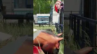 МОРДОЙ ОБ ГАРАЖ #ChristmasSPlay #SkoofSimulator #Skoof #скуф #жиза #гопстоп #симуляторскуфа