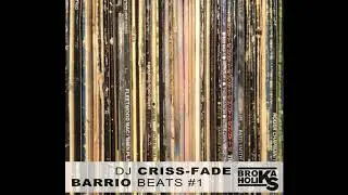DJ Criss Fade - Friends