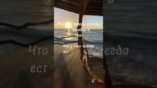 Сила мысли #мотивация #умныеслова #силаслова