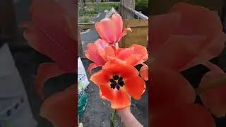 I love my compost!