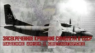 A classified plane crash in the USSR. The fall of the AN-24 in Svetlogorsk