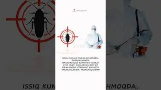 🔹Tarakanlardan hech qanday dezinfeksiyalarsiz qutilishning oson usuli… #foydali #news  #tarakan