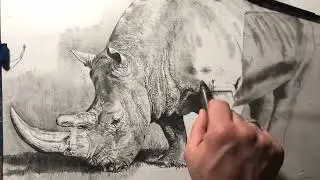 Come disegnare un rinoceronte parte 12