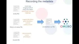 Importing Data with Rich Metadata at Scale