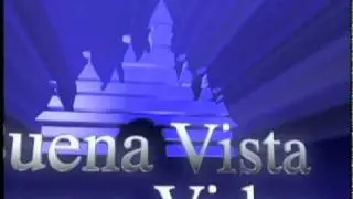 Buena Vista Home Video (2002 logo)