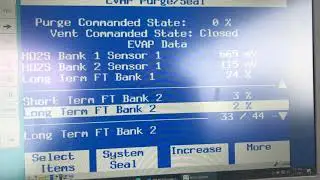 Fuel trim
