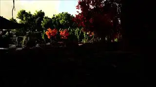 Welcome to the Jungle