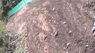 MOV00D