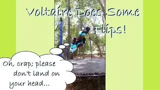 Gymnast + Fursuit + Trampoline