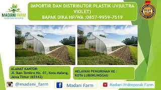 Harga Plastik Uv Lebar 4 Meter, Harga Plastik Uv Lebar 8 Meter HP/WA.0857-9959-7519(BAPAK DIKA)