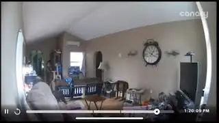 Couch Fail