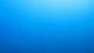 Eagle rays at Fihali Fara 1